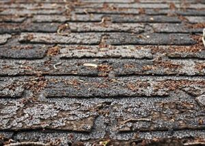How to Know If You Need a Roof Inspection After a Storm