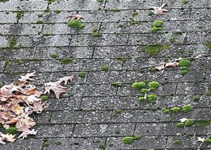 Why Proper Roof Installation Is Crucial in Hurricane-Prone Areas