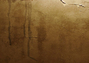 Wet Ceiling Repair Delray Beach